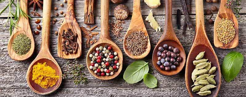 Spice Processing Plants