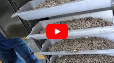 Z type Bucket Elevator Belt Conveyor